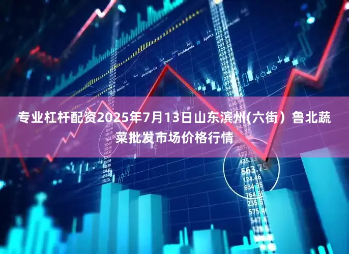 专业杠杆配资2025年7月13日山东滨州(六街)鲁北蔬菜批发市场价格行情